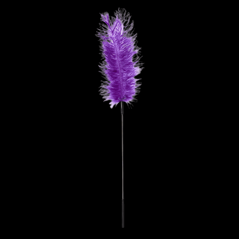 Sportsheets Ostrich TicklerSportsheets Ostrich Tickler