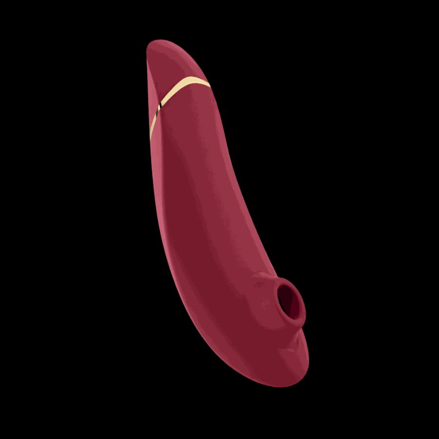 Womanizer PREMIUM 2 Pleasure Air VibratorWomanizer PREMIUM 2 Pleasure Air Vibrator