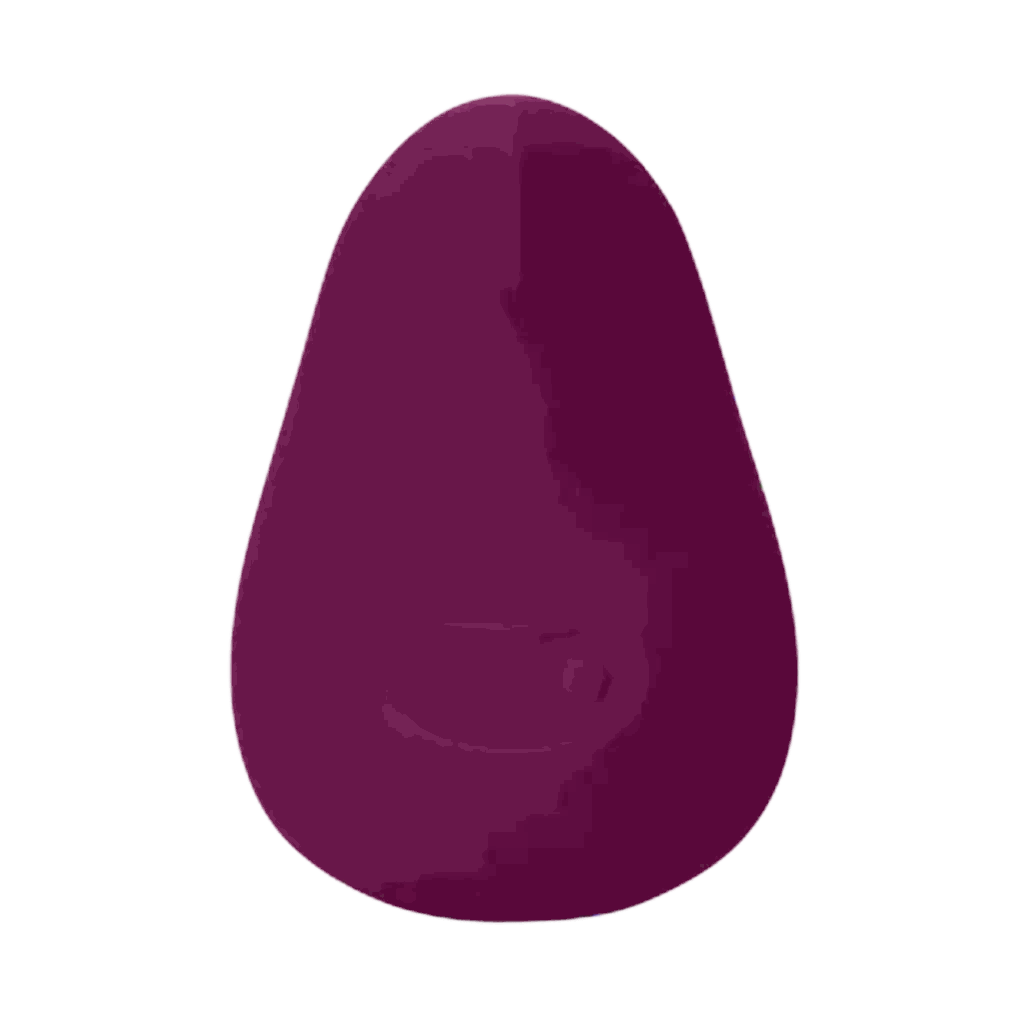 Dame Pom Vibrator - PlumDame Pom Vibrator - Plum
