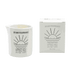 Intamo Lovely Day Massage Candle - Coffee Sandalwood CedarIntamo Lovely Day Massage Candle - Coffee Sandalwood Cedar