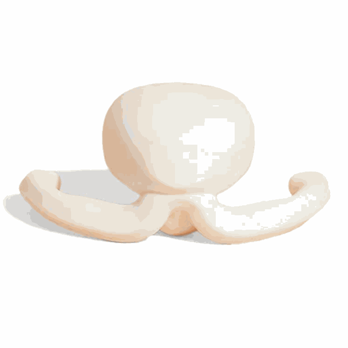 Dame Eva Clitoral VibratorDame Eva Clitoral Vibrator