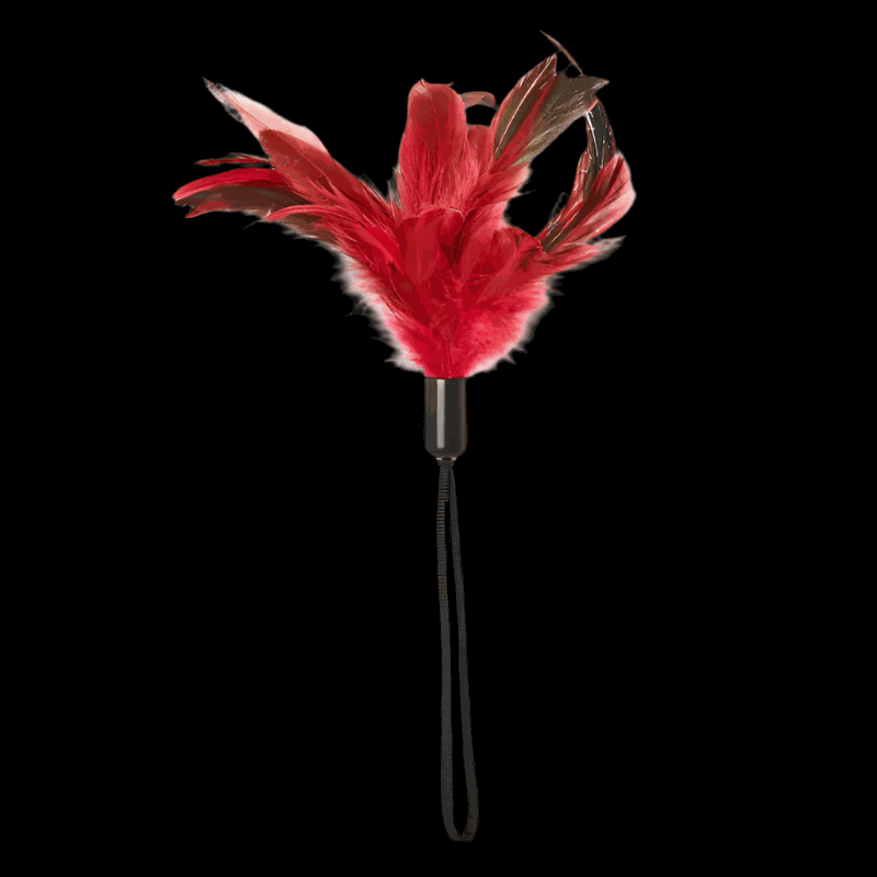 Sportsheets Pleasure FeatherSportsheets Pleasure Feather